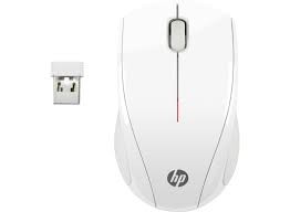 Mouse
